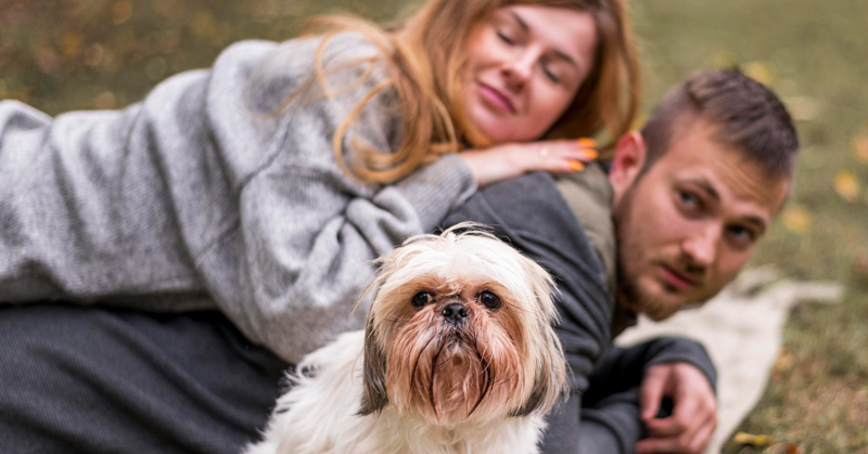 Adaptacija šteneta u novi dom – prvi dani
