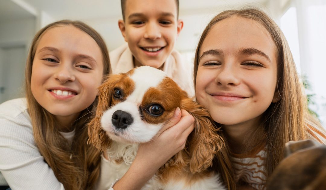 Kako pravilno pomoći štenetu da se adaptira u novom domu