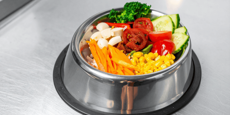 pravilna ishrana pasa