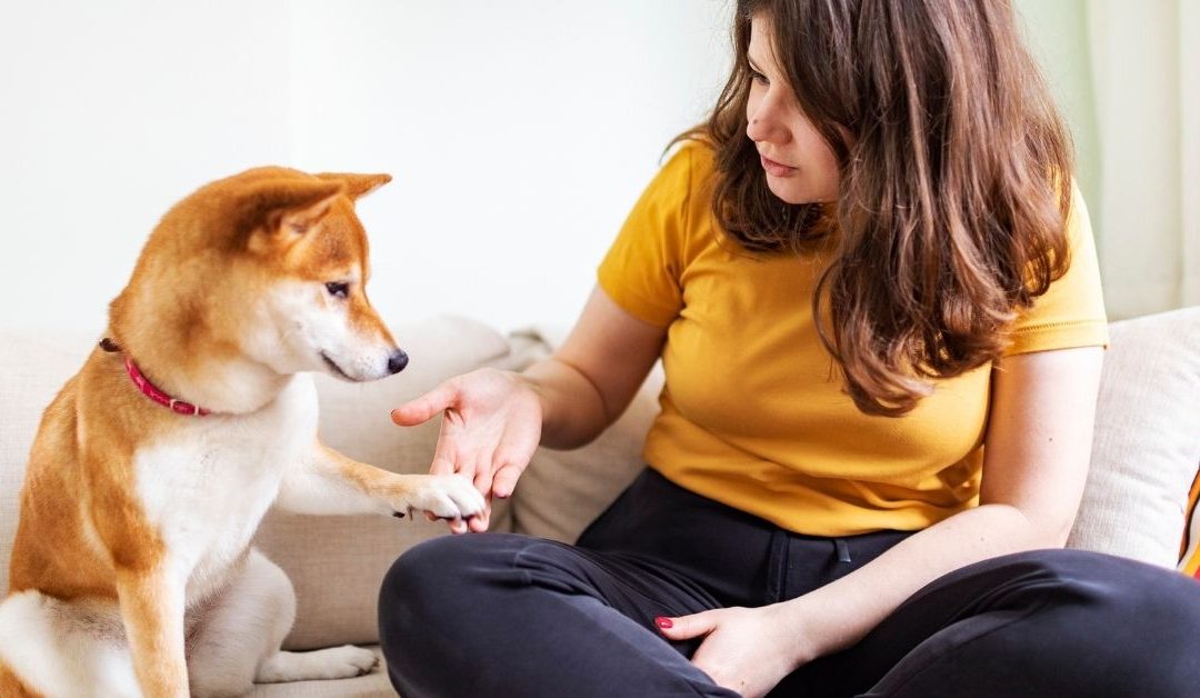 Pas pruža šapu vlasniku kao znak poverenja