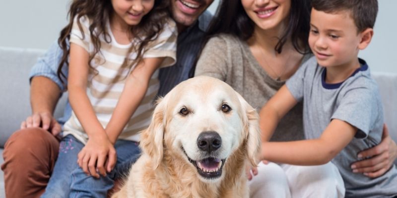 Pas leži opušteno pored porodice