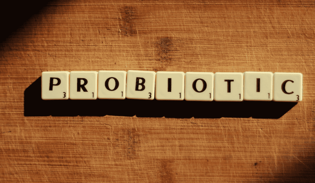 Pas i probiotik za pse – važnost pravilnog izbora