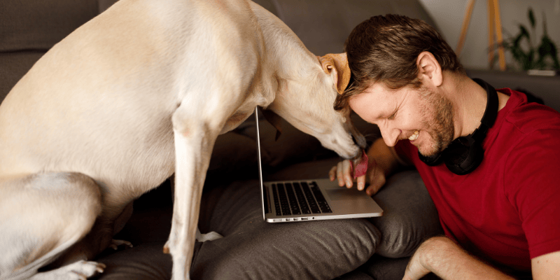 Pas liže vlasniku ruku – prirodan način komunikacije