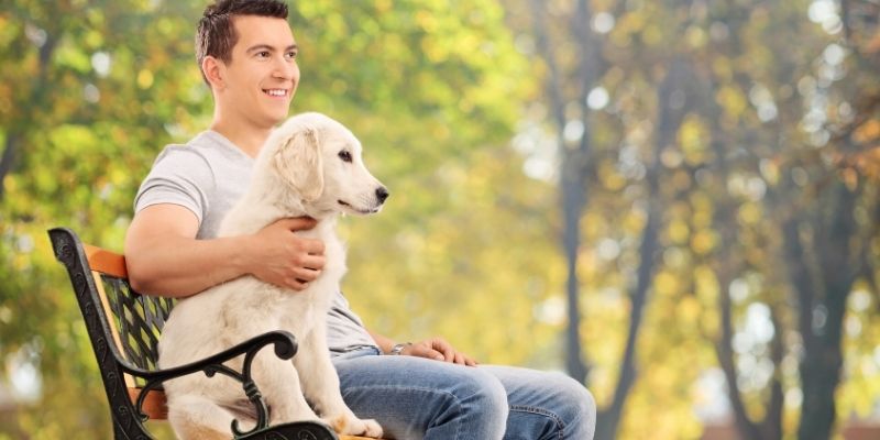  Čovek i pas sede zajedno u tišini i dele trenutak povezanosti