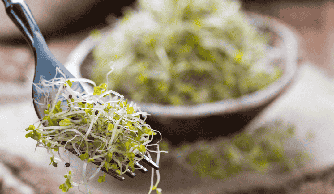 Prirodne klice za pse od brokolija, graška i kupusa