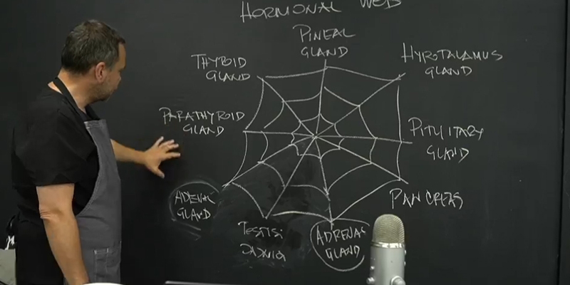 Saša Riess objašnjava endokrini sistem pasa ispred edukativne table