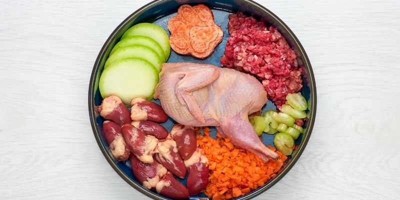 Prirodna ishrana za pse protiv svraba