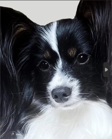 Heni me je podsetio da je normalno da boli