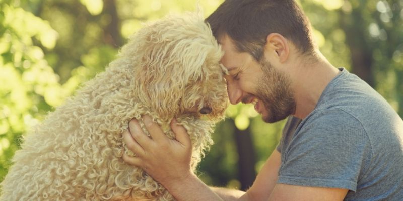 Pas odražava emocije vlasnika – pas i vlasnik u interakciji, pas pokazuje pažnju i razumevanje