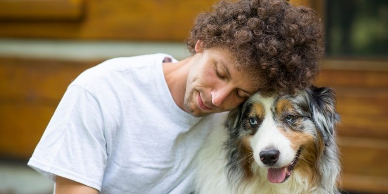 Pas kao ogledalo patnje i put prema razumevanju porodičnih emocija