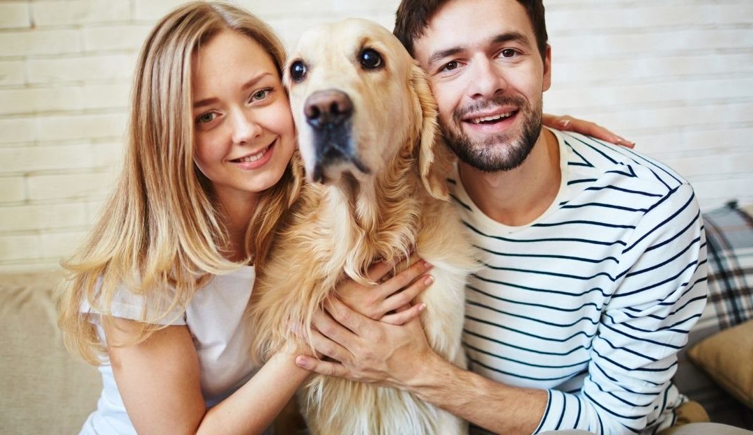 Zbunjen pas sedi između dvoje ljudi koji mu daju različite signale.