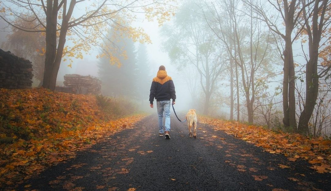 Strah od života: Pas, trauma i poredak ljubavi
