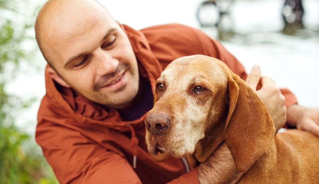 Zašto nas psi dodiruju tamo gde najviše boli