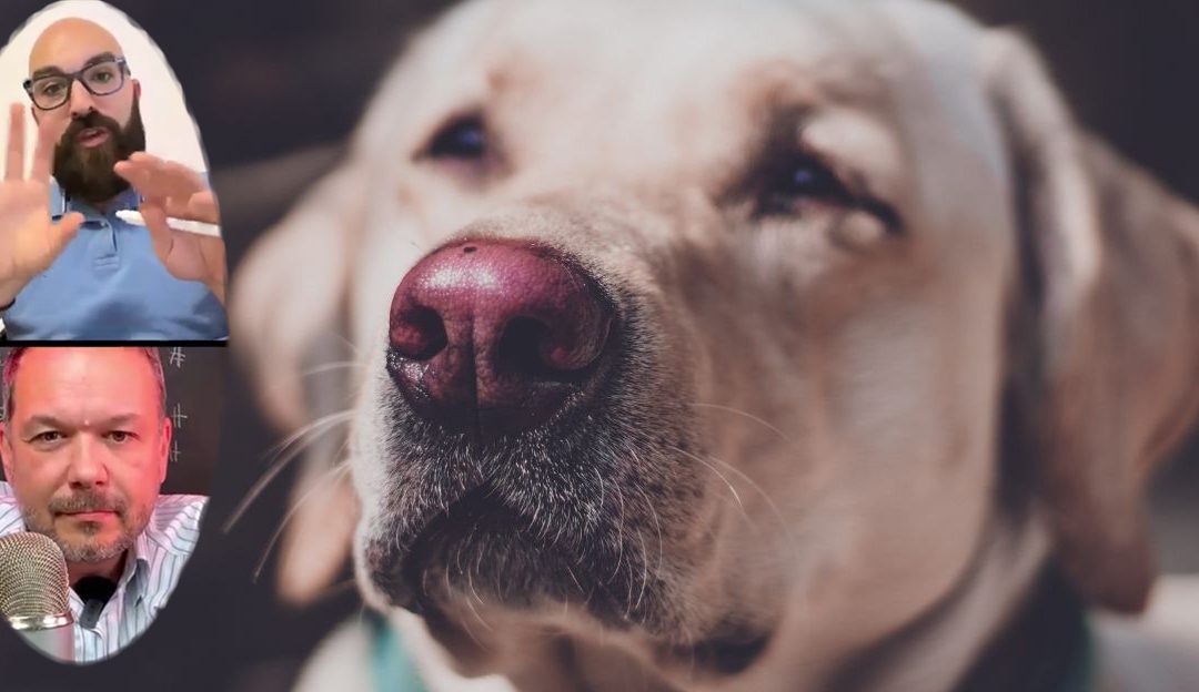 Terapeutski pas, Saša Riess i Svetozar, razgovor o psima pomagačima