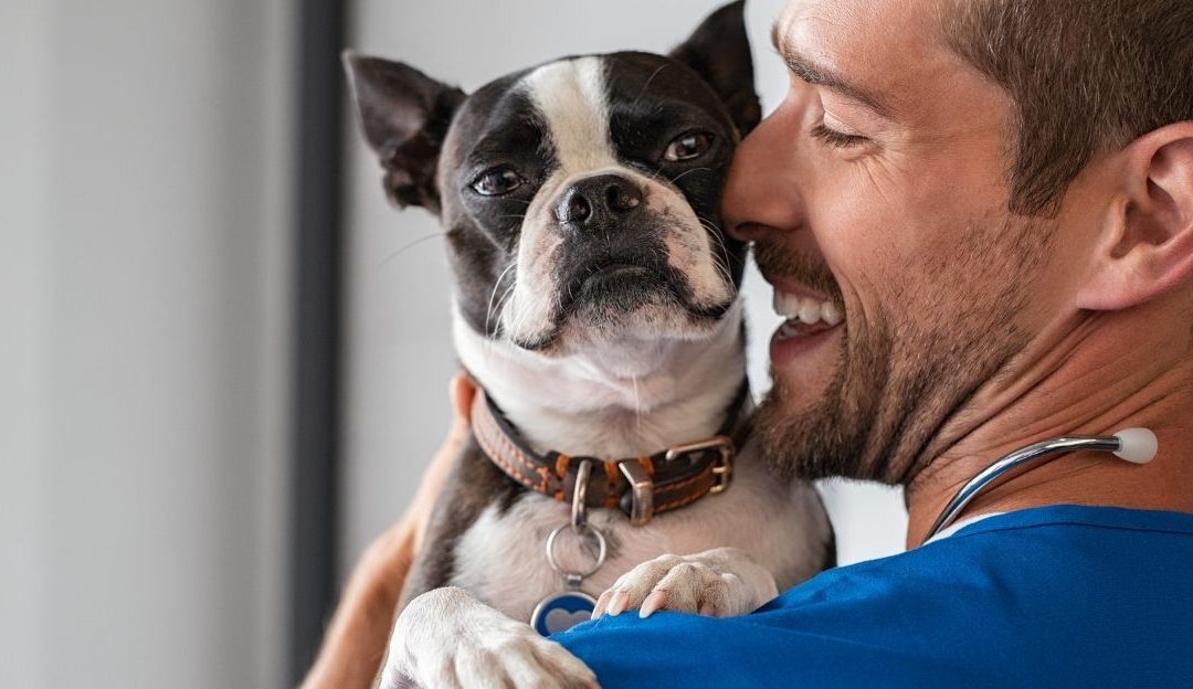 Vlasnik mazi psa – simbol ljubavi i pažnje u brizi o životinji