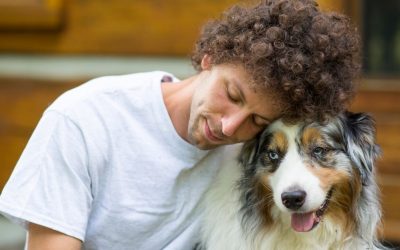 Odgovornost vlasnika psa: Vaše odluke su najvažnije za dobrobit