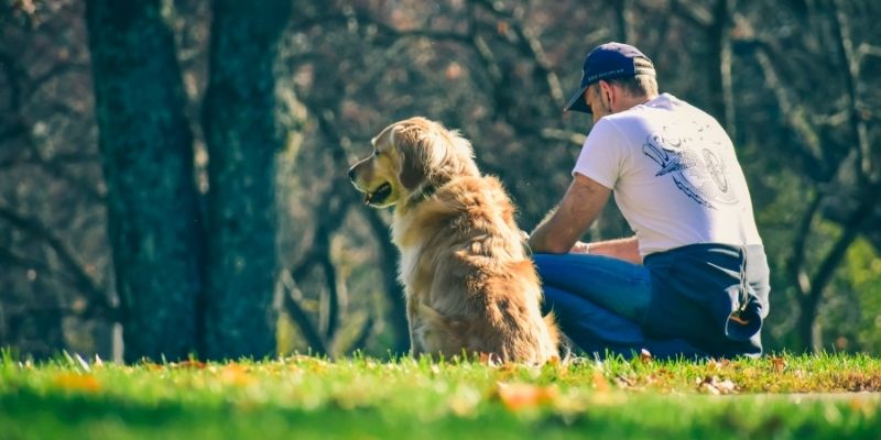 Suočavanje sa sobom kroz odnos sa psom