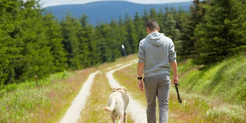 Stabilan odnos i odrasla ljubav prema psu kroz postavljanje granica
