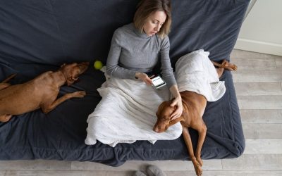 Bolest ljubimaca u ogledalu naših života: Priča o Mariji, toksičnom poslu i psu Džekiju