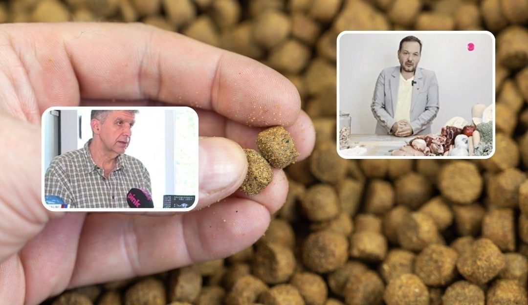 Različita mišljenja o ishrani pasa i granulama za pse