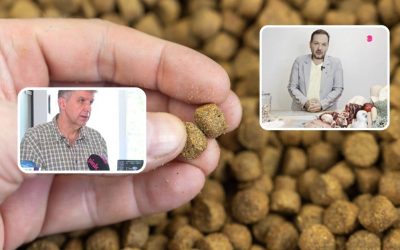 Granule za pse: Da li biste vi pojeli briket ili batak?