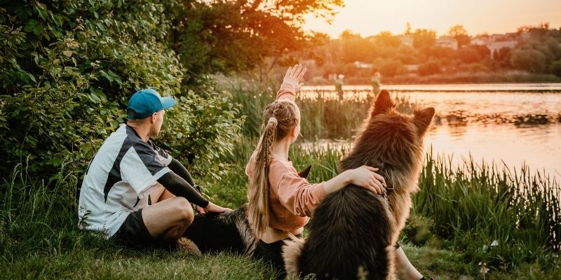 Odnos čoveka i psa oblikuje ponašanje psa
