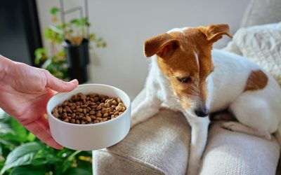 Ne budi šaran: Mračna istina koju industrija hrane za pse krije