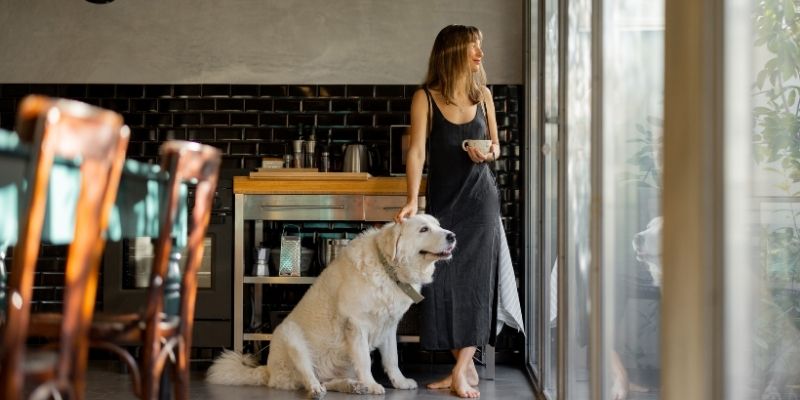 Odnos sa psom kao ogledalo unutrašnje promene čoveka