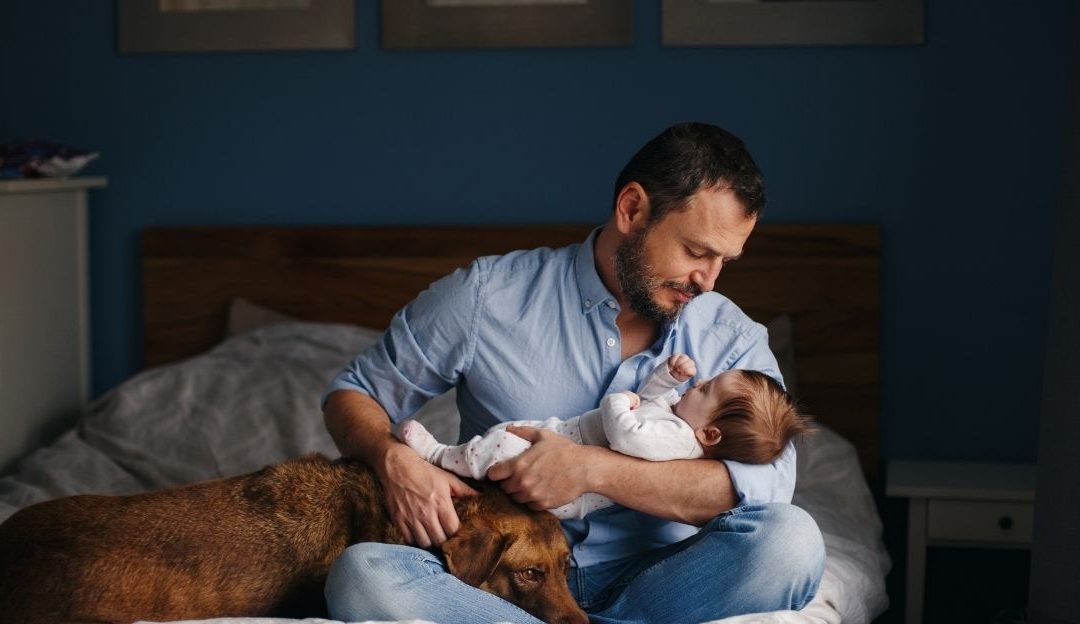 Pas i beba – zašto odgovornost nikada nije na psu