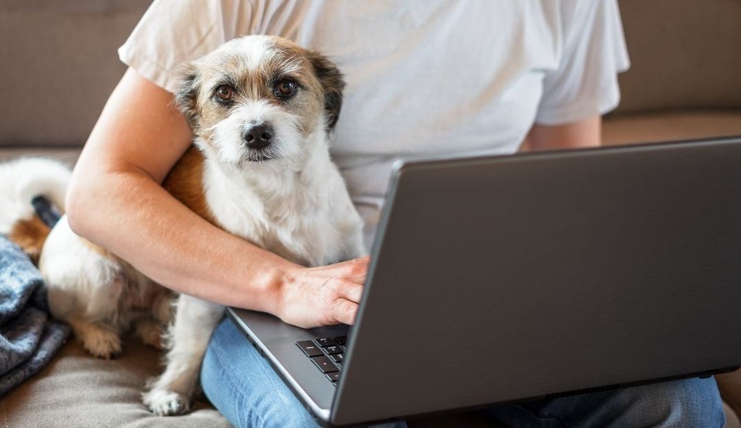 Priručnik za rad sa psima i primena u svakodnevnom životu