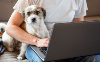 Jeste li preuzeli priručnik? Šta se dešava kada sumnja pobedi praksu