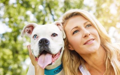 Psi nas vole bez uslova – pitanje je da li mi znamo šta s tim da radimo