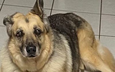 Roki, žao mi je: Kada ljubav postane destruktivna