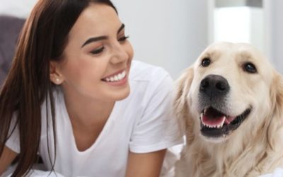 Pas nije igračka! – Kako se pravilno brinuti o psu