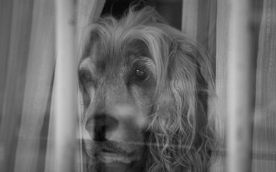 Zamka bola: Da li je vaša rutina samo maska?