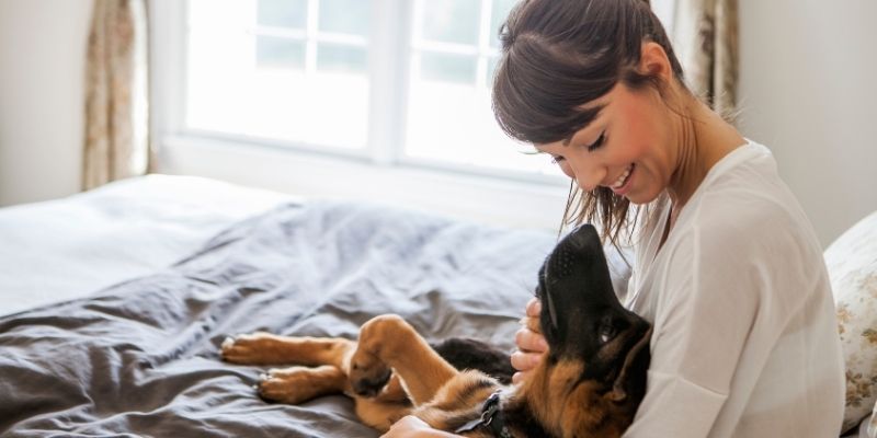 Život sa psom zasnovan na sadašnjem trenutku i ravnoteži