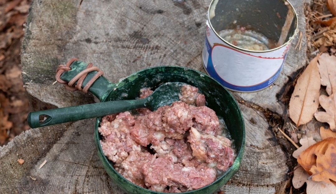 Hrana u konzervi za pse: Šta se krije unutra i kako povratiti balans?