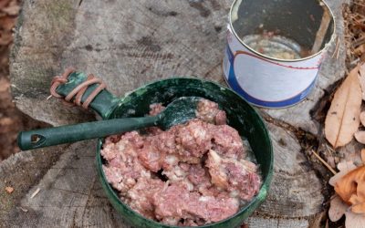 Hrana u konzervi za pse: Šta se krije unutra i kako povratiti balans?