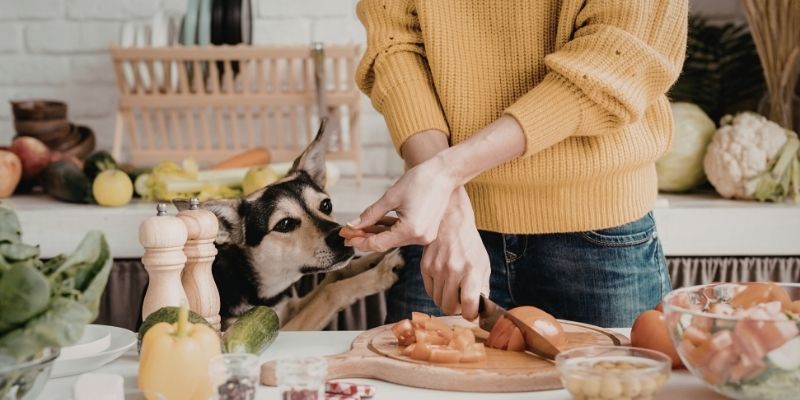 Nutritivni biheviorizam i balans natrijuma i kalijuma u činiji