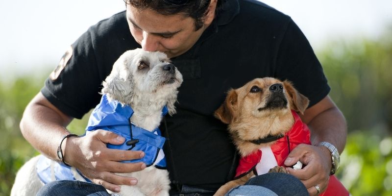 Stabilan i samouveren vlasnik vodi svog psa, pokazujući sigurnu vezanost.