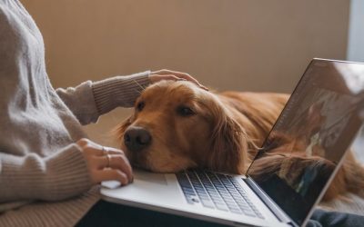 Vaš pas je alergičan na vaše savršenstvo: Zašto priručnik ne radi?