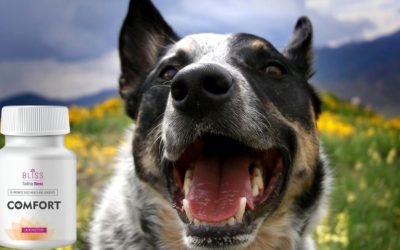 Protokol za paraanalne žlezde