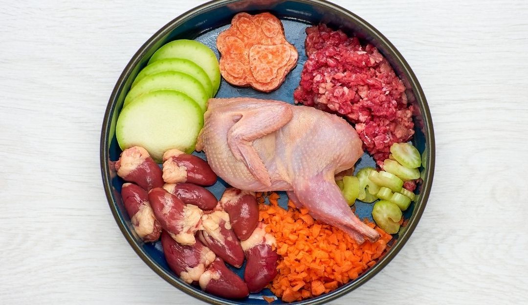 Komadi svežeg mesa,masnoće, povća u činiji, spremni za pripremu zdravog obroka za psa.