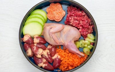 Kako pobediti alergije kod pasa? Hrana koju biste i vi jeli