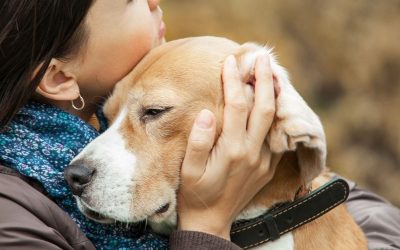 Kada pas postane talac naše „ljubavi“: Cena koju plaćaju ljubimci
