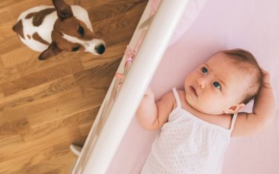 Pas i beba: Da li je vaša ljubav ubila mesto psa u porodici?