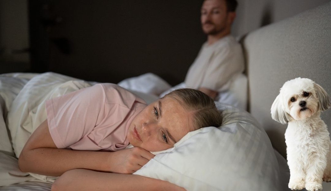 Pas kao detektor laži: Da li vaš ljubimac zna vašu najmračniju tajnu?