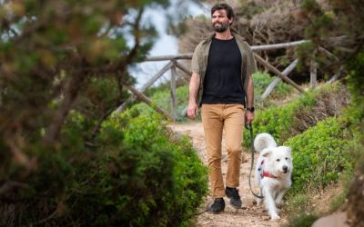 Ponašanje pasa: Snaga tihe komunikacije i pravila grupe