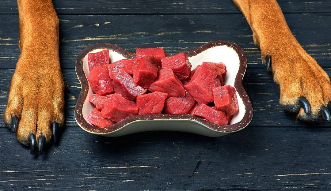 Ishrana bogata mesom koja može biti uzrok zašto se javlja crna stolica kod psa.