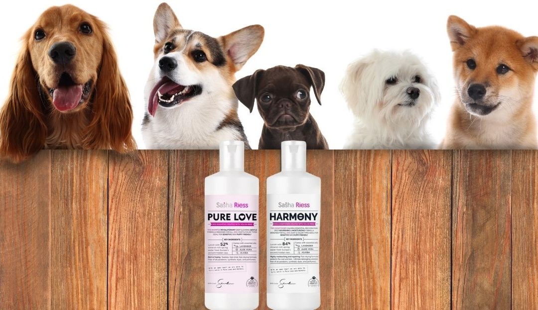 Precizna nega pasa koja podržava prirodne funkcije kože.